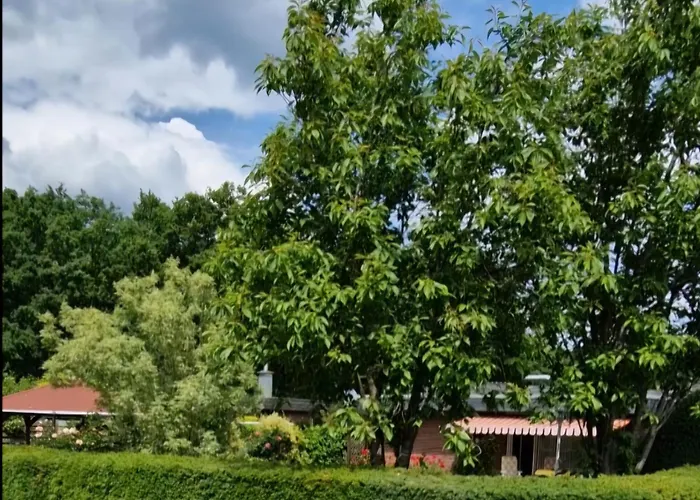 Дом отдыха Haus Bernd *